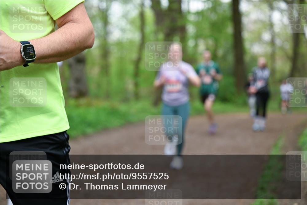 19.04.2026 - Hammer Lauf Dr. Thomas Lammeyer http://msf.ph/oto/9557525 19.04.2026 12:41:49 Laufen  meine-sportfotos.de