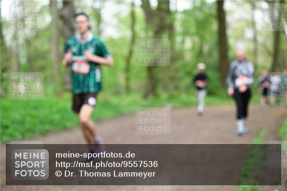 19.04.2026 - Hammer Lauf Dr. Thomas Lammeyer http://msf.ph/oto/9557536 19.04.2026 12:41:52 Laufen  meine-sportfotos.de