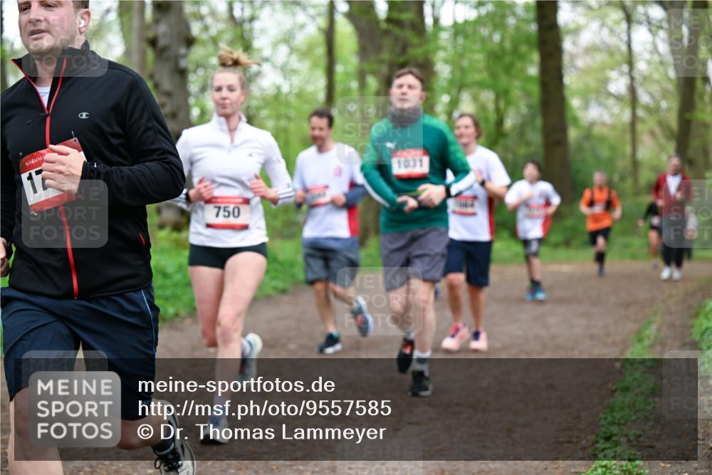 19.04.2026 - Hammer Lauf Dr. Thomas Lammeyer http://msf.ph/oto/9557585 19.04.2026 12:41:59 Laufen 750, 1031 meine-sportfotos.de