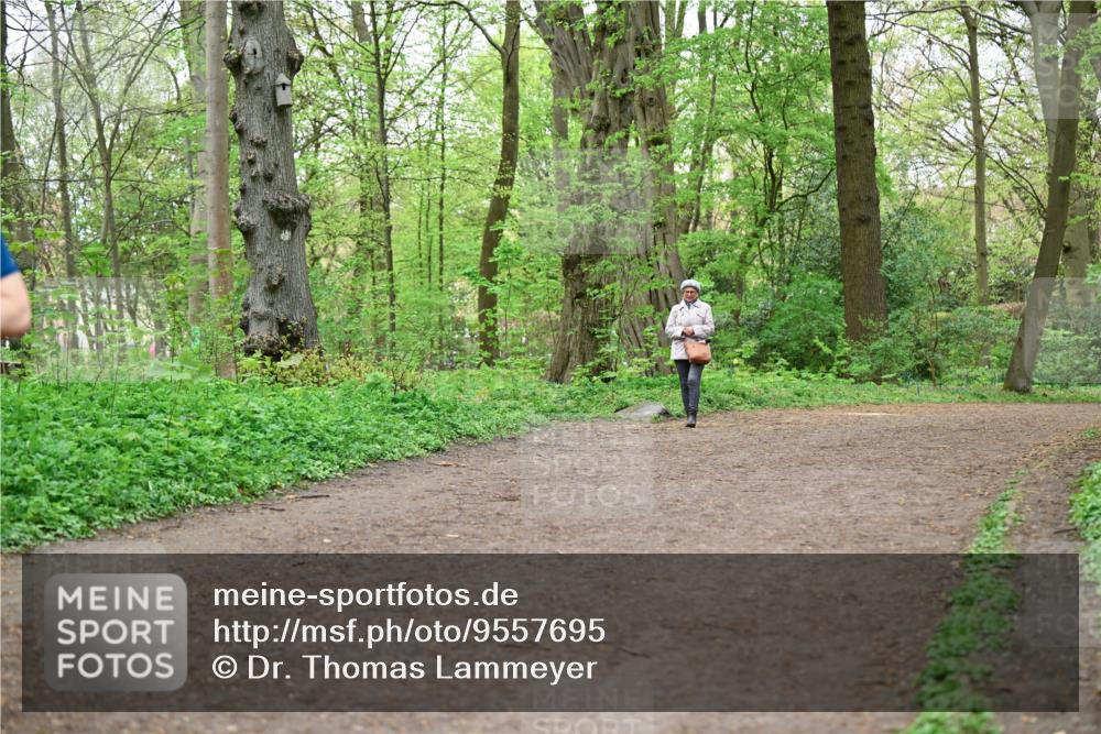 19.04.2026 - Hammer Lauf Dr. Thomas Lammeyer http://msf.ph/oto/9557695 19.04.2026 12:42:15 Laufen  meine-sportfotos.de