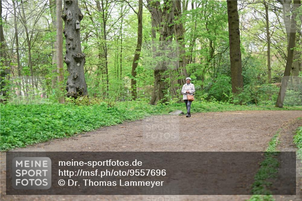 19.04.2026 - Hammer Lauf Dr. Thomas Lammeyer http://msf.ph/oto/9557696 19.04.2026 12:42:15 Laufen  meine-sportfotos.de