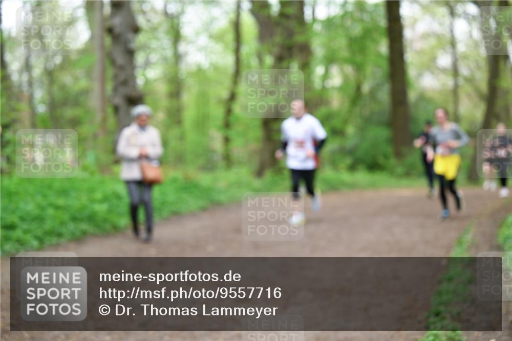 19.04.2026 - Hammer Lauf Dr. Thomas Lammeyer http://msf.ph/oto/9557716 19.04.2026 12:42:24 Laufen  meine-sportfotos.de