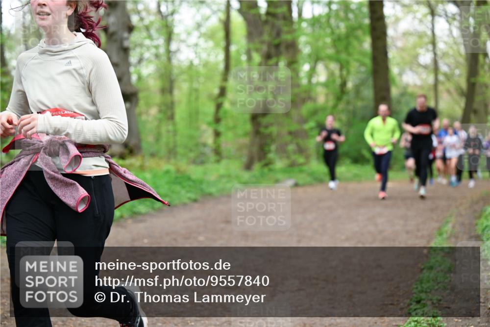 19.04.2026 - Hammer Lauf Dr. Thomas Lammeyer http://msf.ph/oto/9557840 19.04.2026 12:42:43 Laufen  meine-sportfotos.de
