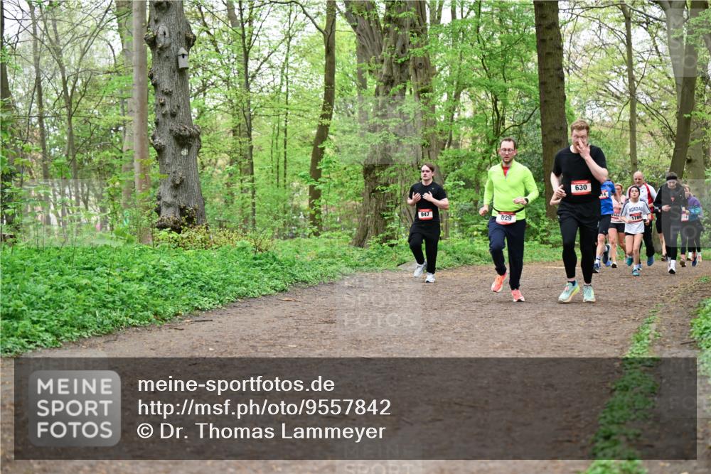 19.04.2026 - Hammer Lauf Dr. Thomas Lammeyer http://msf.ph/oto/9557842 19.04.2026 12:42:44 Laufen 947, 829, 630, 1786, 134 meine-sportfotos.de
