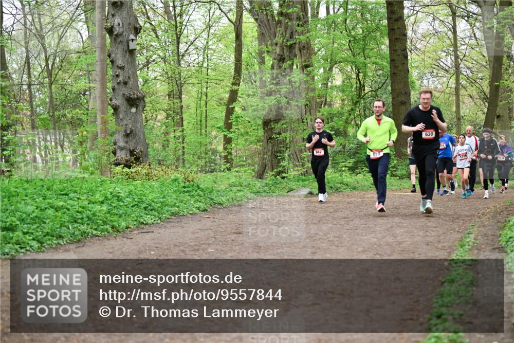 19.04.2026 - Hammer Lauf Dr. Thomas Lammeyer http://msf.ph/oto/9557844 19.04.2026 12:42:44 Laufen 947, 829, 630, 1786, 1134 meine-sportfotos.de