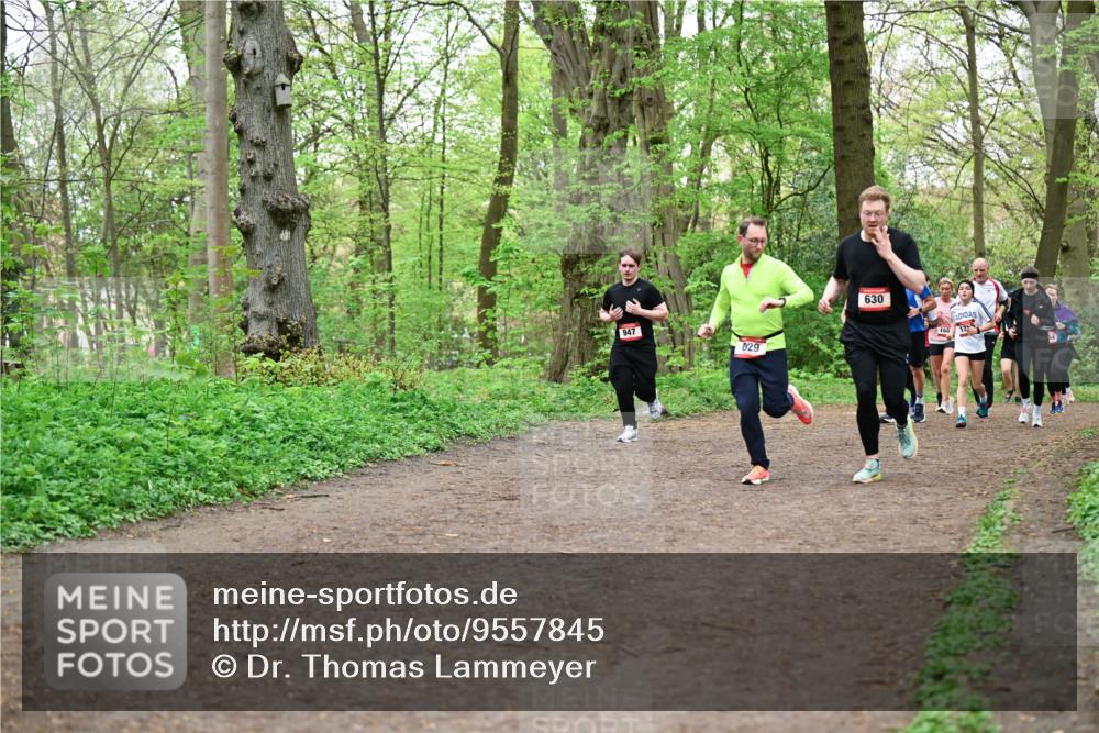 19.04.2026 - Hammer Lauf Dr. Thomas Lammeyer http://msf.ph/oto/9557845 19.04.2026 12:42:44 Laufen  meine-sportfotos.de
