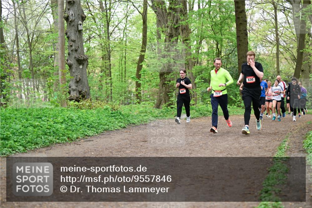 19.04.2026 - Hammer Lauf Dr. Thomas Lammeyer http://msf.ph/oto/9557846 19.04.2026 12:42:44 Laufen 947, 829, 630, 1682, 178 meine-sportfotos.de