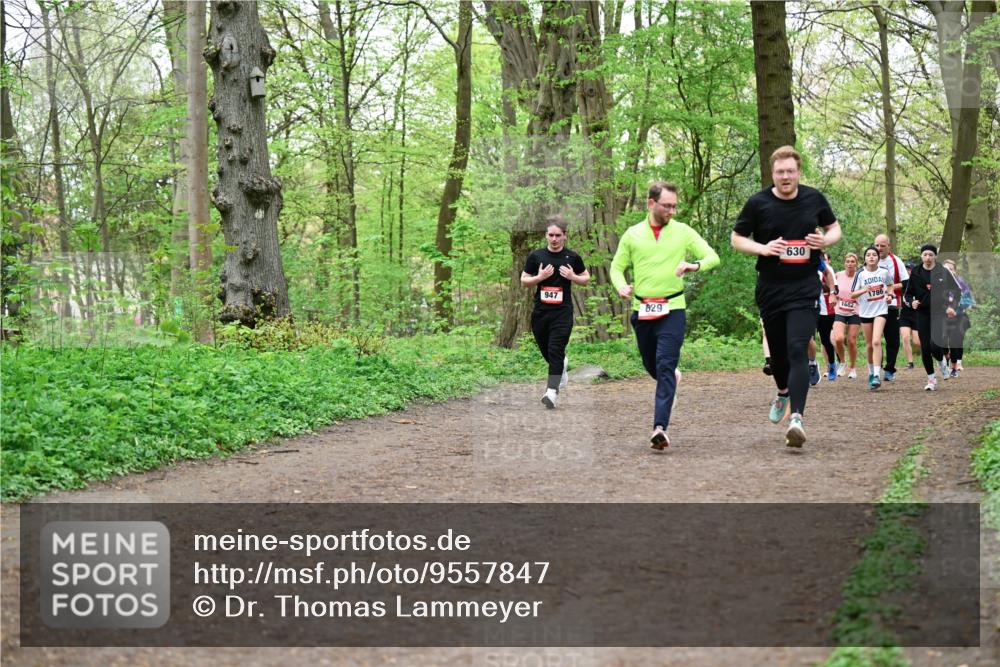 19.04.2026 - Hammer Lauf Dr. Thomas Lammeyer http://msf.ph/oto/9557847 19.04.2026 12:42:45 Laufen 947, 829, 630, 1682, 1786 meine-sportfotos.de