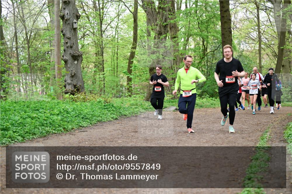 19.04.2026 - Hammer Lauf Dr. Thomas Lammeyer http://msf.ph/oto/9557849 19.04.2026 12:42:45 Laufen 947, 629, 630, 1786 meine-sportfotos.de