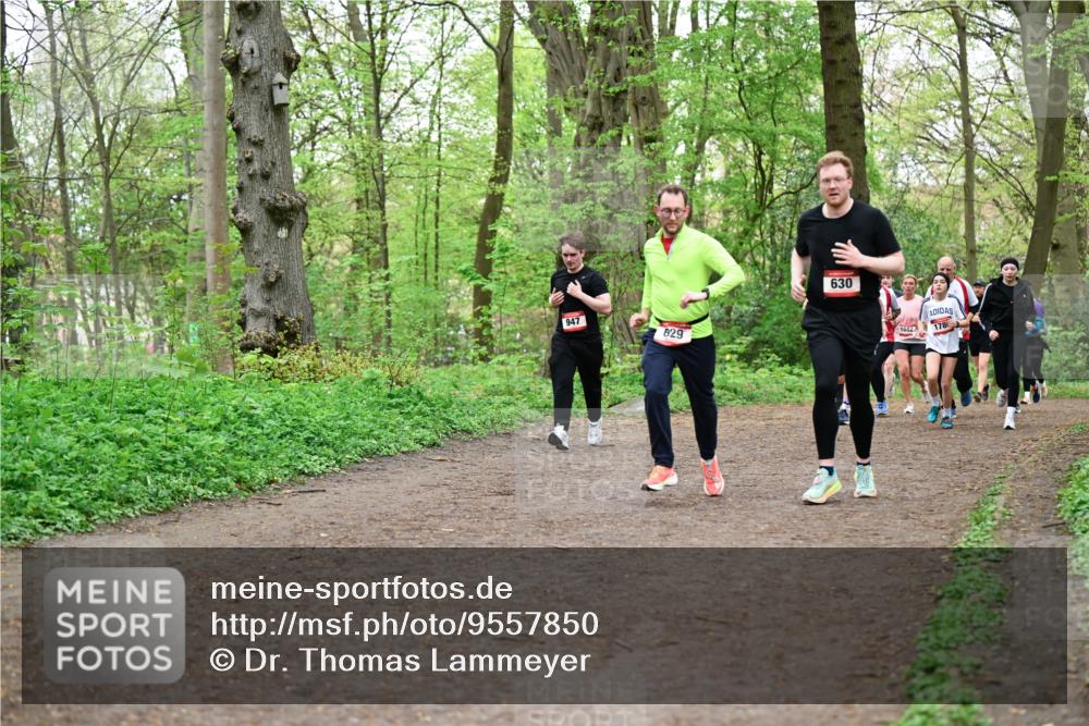 19.04.2026 - Hammer Lauf Dr. Thomas Lammeyer http://msf.ph/oto/9557850 19.04.2026 12:42:45 Laufen 630 meine-sportfotos.de