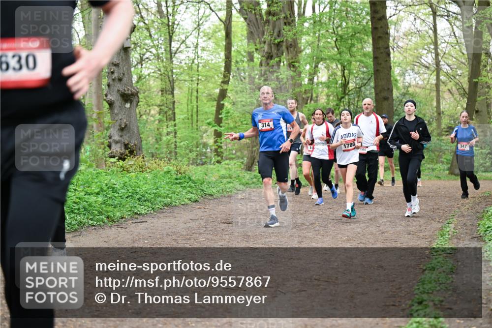 19.04.2026 - Hammer Lauf Dr. Thomas Lammeyer http://msf.ph/oto/9557867 19.04.2026 12:42:47 Laufen 630, 314, 1786, 585, 347 meine-sportfotos.de