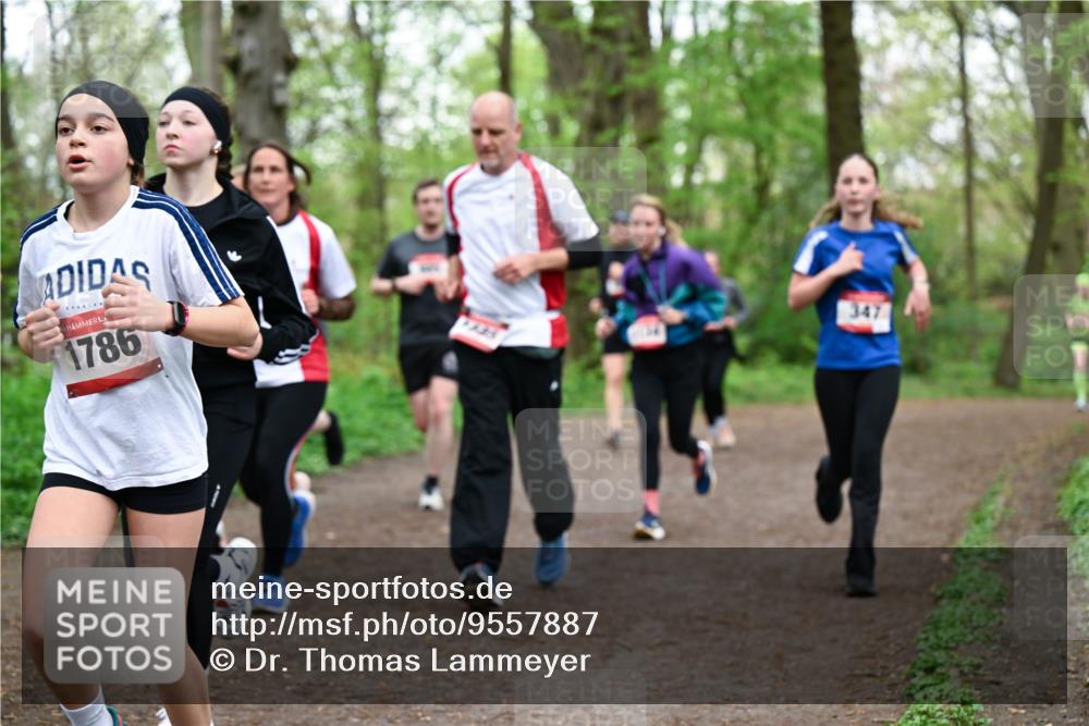 19.04.2026 - Hammer Lauf Dr. Thomas Lammeyer http://msf.ph/oto/9557887 19.04.2026 12:42:50 Laufen 1786, 347 meine-sportfotos.de
