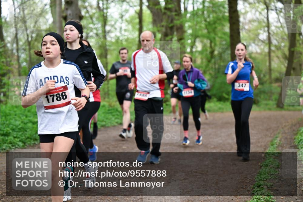 19.04.2026 - Hammer Lauf Dr. Thomas Lammeyer http://msf.ph/oto/9557888 19.04.2026 12:42:50 Laufen 1786, 347, 1585, 1134 meine-sportfotos.de