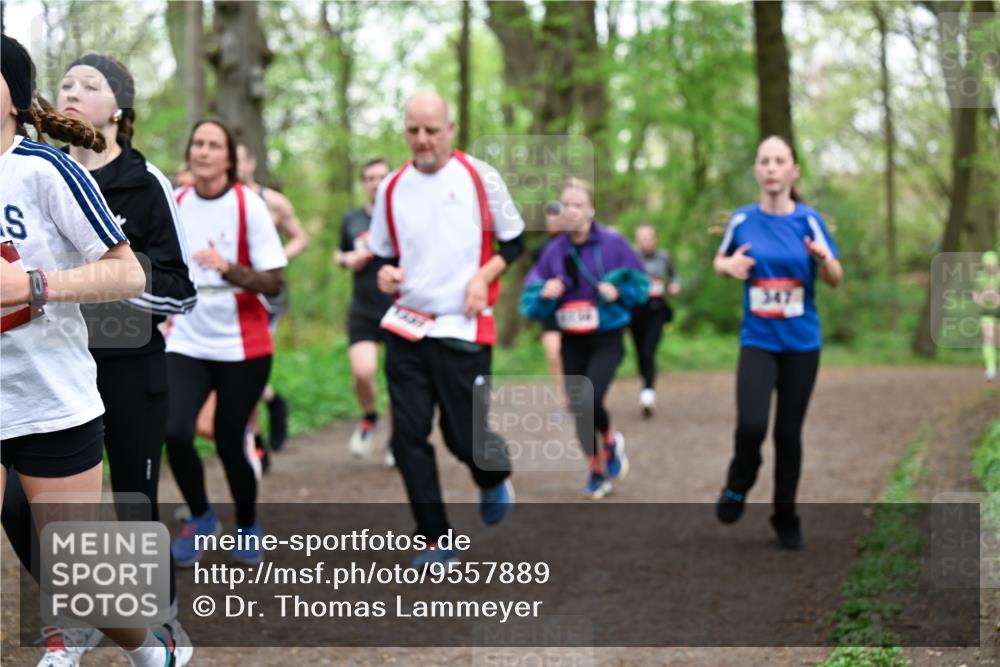 19.04.2026 - Hammer Lauf Dr. Thomas Lammeyer http://msf.ph/oto/9557889 19.04.2026 12:42:51 Laufen 347 meine-sportfotos.de