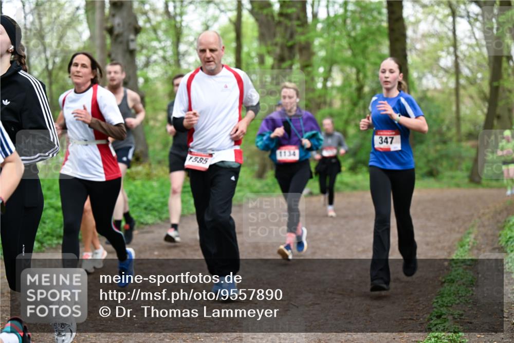 19.04.2026 - Hammer Lauf Dr. Thomas Lammeyer http://msf.ph/oto/9557890 19.04.2026 12:42:51 Laufen 1585, 1134, 347 meine-sportfotos.de