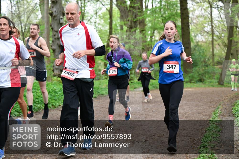 19.04.2026 - Hammer Lauf Dr. Thomas Lammeyer http://msf.ph/oto/9557893 19.04.2026 12:42:51 Laufen 207, 7585, 1134, 923, 347, 231 meine-sportfotos.de