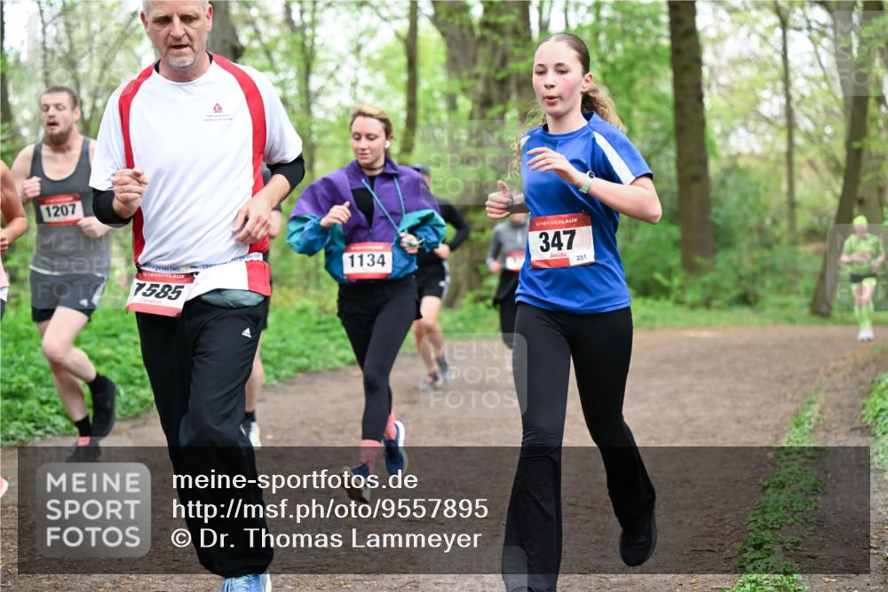 19.04.2026 - Hammer Lauf Dr. Thomas Lammeyer http://msf.ph/oto/9557895 19.04.2026 12:42:51 Laufen 1207, 7585, 1134, 347, 231 meine-sportfotos.de