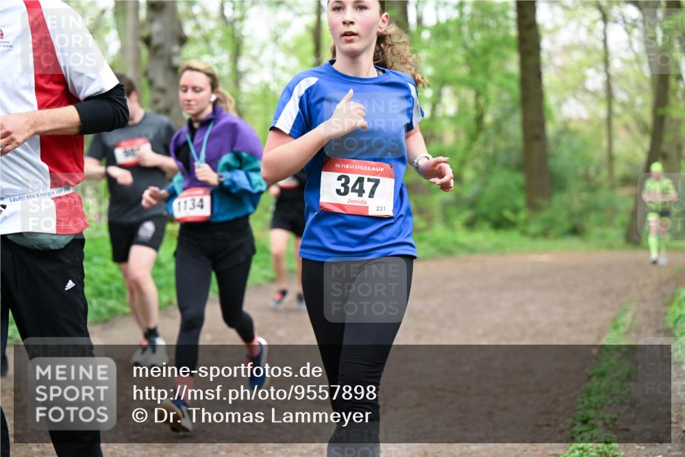 19.04.2026 - Hammer Lauf Dr. Thomas Lammeyer http://msf.ph/oto/9557898 19.04.2026 12:42:52 Laufen 1902, 1134, 347, 231 meine-sportfotos.de