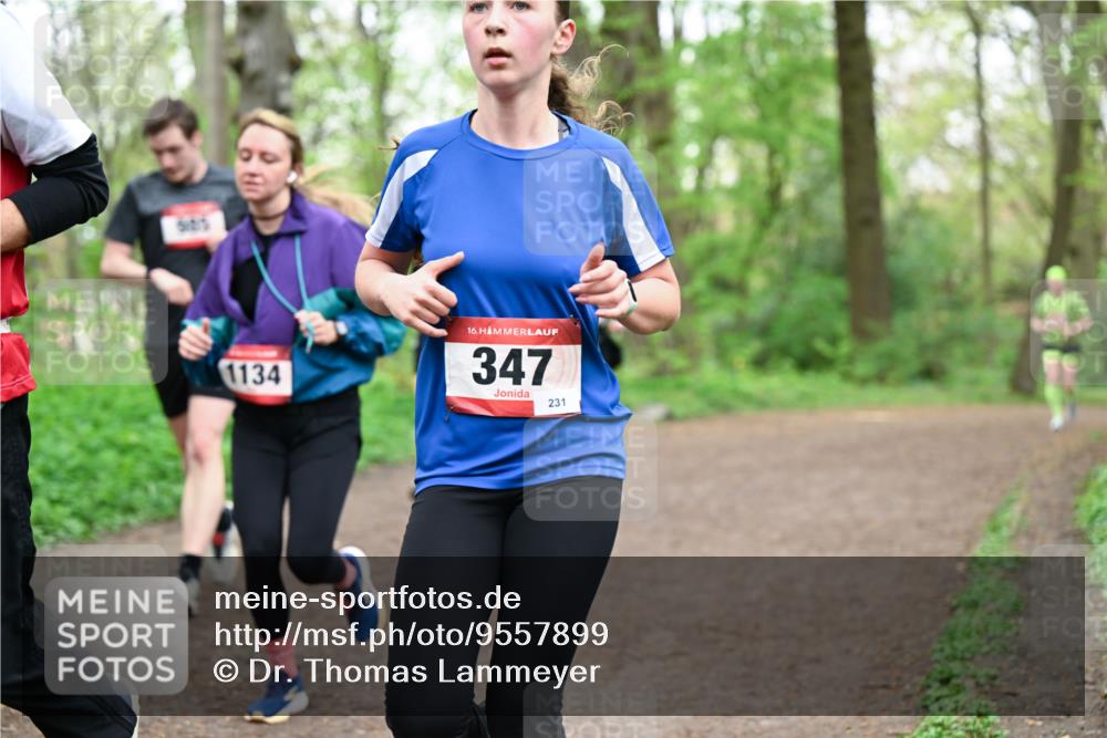 19.04.2026 - Hammer Lauf Dr. Thomas Lammeyer http://msf.ph/oto/9557899 19.04.2026 12:42:52 Laufen 1134, 347, 231 meine-sportfotos.de