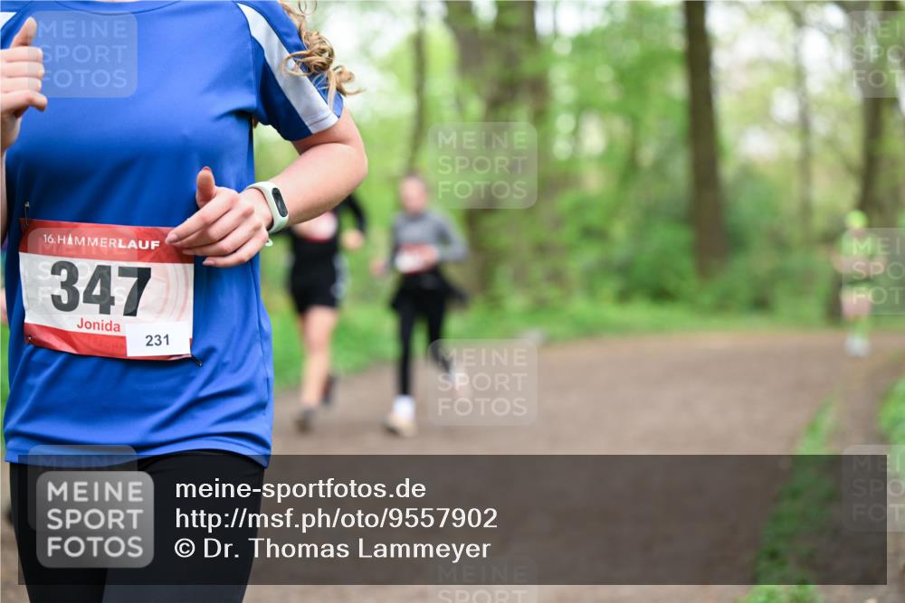 19.04.2026 - Hammer Lauf Dr. Thomas Lammeyer http://msf.ph/oto/9557902 19.04.2026 12:42:52 Laufen 347, 231 meine-sportfotos.de