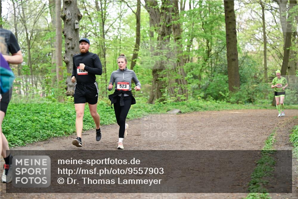 19.04.2026 - Hammer Lauf Dr. Thomas Lammeyer http://msf.ph/oto/9557903 19.04.2026 12:42:53 Laufen 522, 523 meine-sportfotos.de