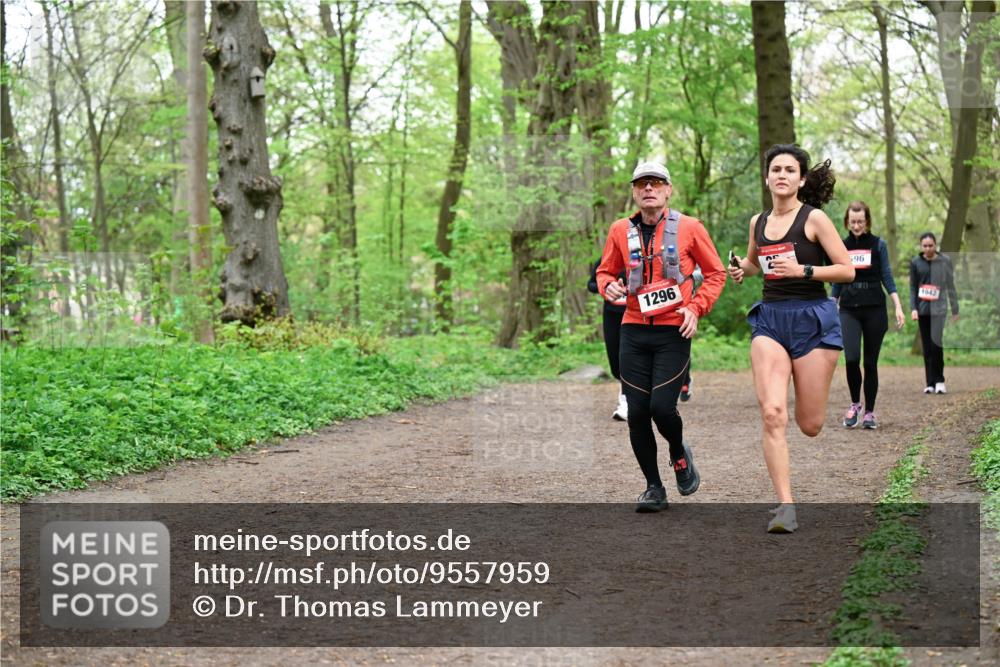 19.04.2026 - Hammer Lauf Dr. Thomas Lammeyer http://msf.ph/oto/9557959 19.04.2026 12:43:03 Laufen 1296, 596, 1042 meine-sportfotos.de