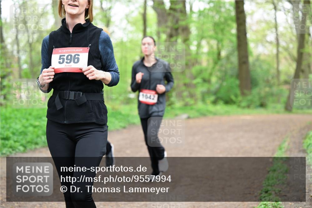 19.04.2026 - Hammer Lauf Dr. Thomas Lammeyer http://msf.ph/oto/9557994 19.04.2026 12:43:09 Laufen 596, 1042 meine-sportfotos.de