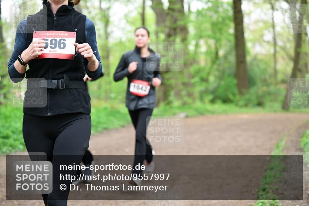 19.04.2026 - Hammer Lauf Dr. Thomas Lammeyer http://msf.ph/oto/9557997 19.04.2026 12:43:09 Laufen 596, 1042 meine-sportfotos.de