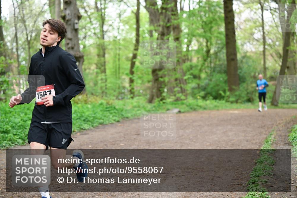 19.04.2026 - Hammer Lauf Dr. Thomas Lammeyer http://msf.ph/oto/9558067 19.04.2026 12:43:26 Laufen 1567 meine-sportfotos.de
