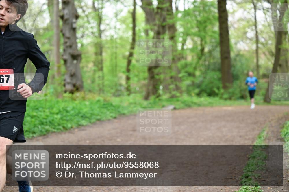 19.04.2026 - Hammer Lauf Dr. Thomas Lammeyer http://msf.ph/oto/9558068 19.04.2026 12:43:26 Laufen  meine-sportfotos.de