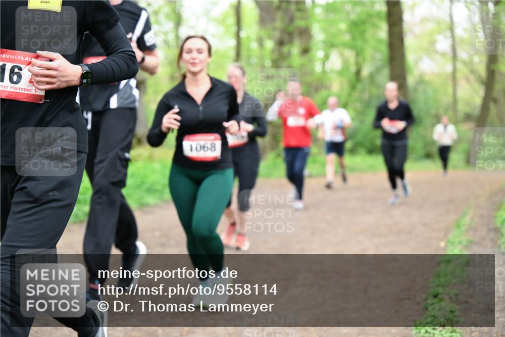 19.04.2026 - Hammer Lauf Dr. Thomas Lammeyer http://msf.ph/oto/9558114 19.04.2026 12:43:42 Laufen 1068 meine-sportfotos.de