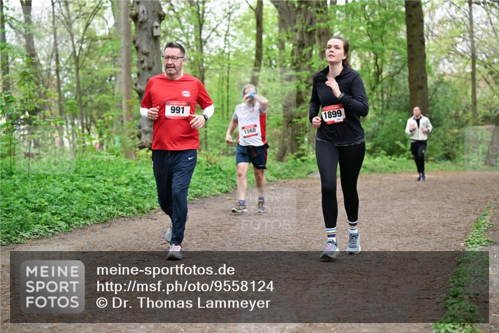 19.04.2026 - Hammer Lauf Dr. Thomas Lammeyer http://msf.ph/oto/9558124 19.04.2026 12:43:44 Laufen 991, 1568, 1899, 284 meine-sportfotos.de