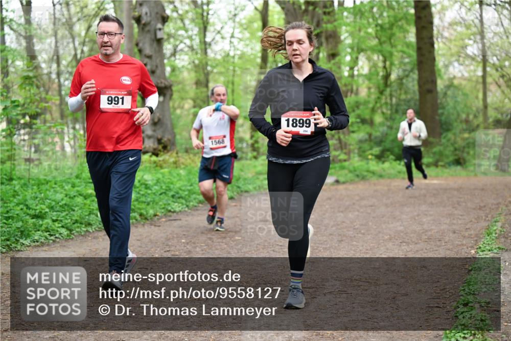 19.04.2026 - Hammer Lauf Dr. Thomas Lammeyer http://msf.ph/oto/9558127 19.04.2026 12:43:44 Laufen 991, 1568, 1899, 284 meine-sportfotos.de