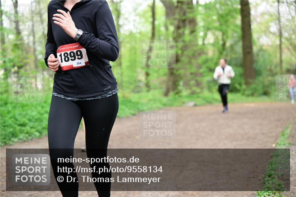 19.04.2026 - Hammer Lauf Dr. Thomas Lammeyer http://msf.ph/oto/9558134 19.04.2026 12:43:45 Laufen 1899, 284 meine-sportfotos.de