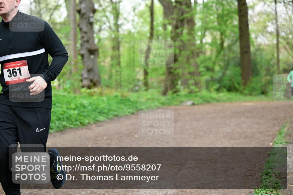 19.04.2026 - Hammer Lauf Dr. Thomas Lammeyer http://msf.ph/oto/9558207 19.04.2026 12:43:57 Laufen 361 meine-sportfotos.de