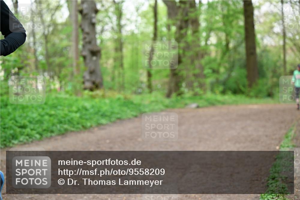 19.04.2026 - Hammer Lauf Dr. Thomas Lammeyer http://msf.ph/oto/9558209 19.04.2026 12:43:58 Laufen  meine-sportfotos.de