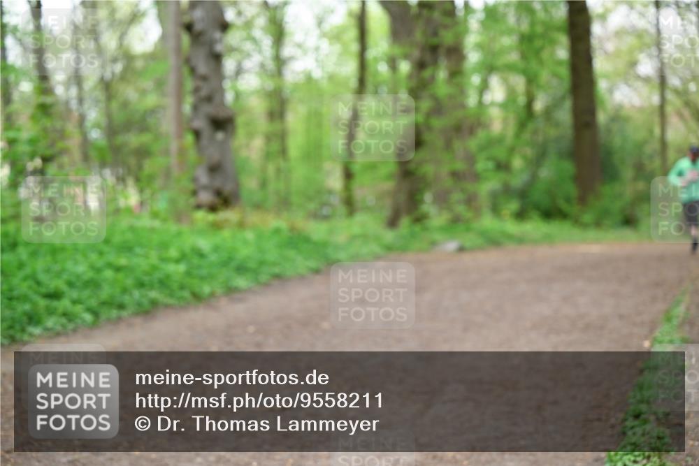 19.04.2026 - Hammer Lauf Dr. Thomas Lammeyer http://msf.ph/oto/9558211 19.04.2026 12:43:58 Laufen  meine-sportfotos.de