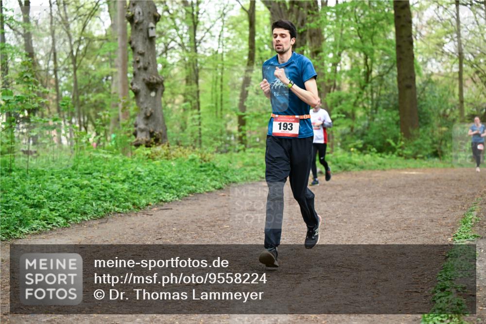 19.04.2026 - Hammer Lauf Dr. Thomas Lammeyer http://msf.ph/oto/9558224 19.04.2026 12:44:07 Laufen 193 meine-sportfotos.de