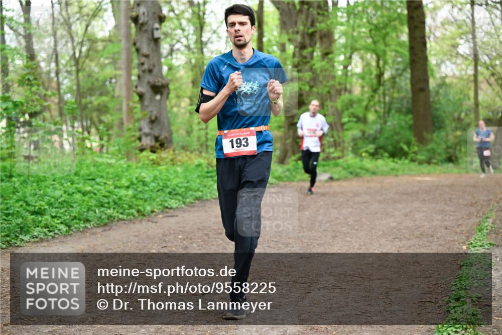 19.04.2026 - Hammer Lauf Dr. Thomas Lammeyer http://msf.ph/oto/9558225 19.04.2026 12:44:08 Laufen 193 meine-sportfotos.de