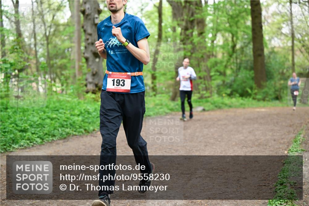 19.04.2026 - Hammer Lauf Dr. Thomas Lammeyer http://msf.ph/oto/9558230 19.04.2026 12:44:08 Laufen 193 meine-sportfotos.de