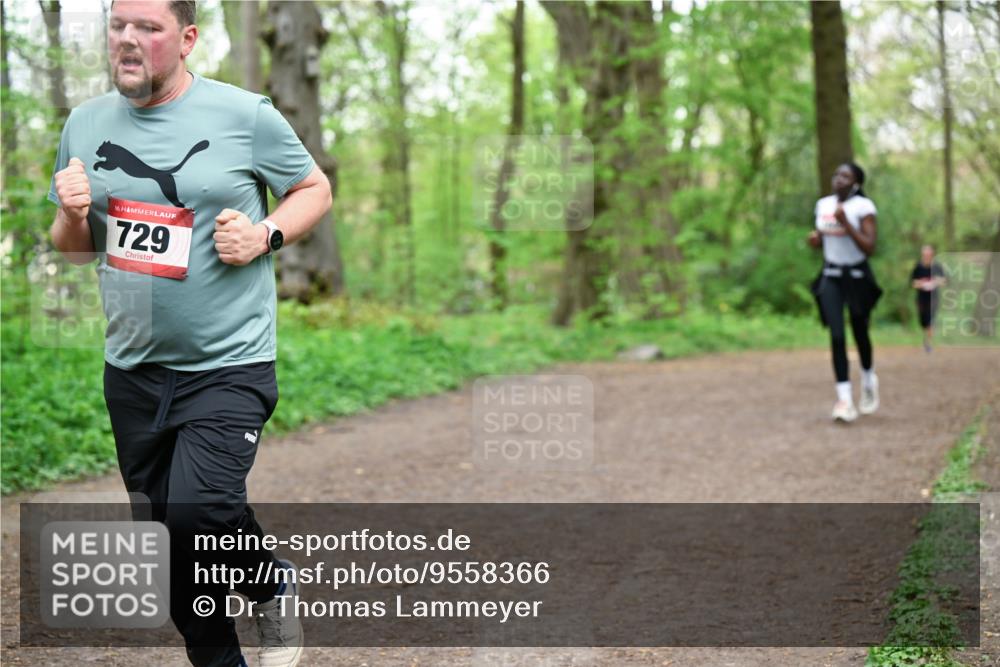19.04.2026 - Hammer Lauf Dr. Thomas Lammeyer http://msf.ph/oto/9558366 19.04.2026 12:44:29 Laufen 729 meine-sportfotos.de