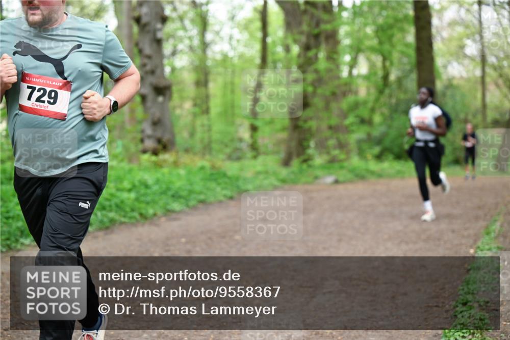 19.04.2026 - Hammer Lauf Dr. Thomas Lammeyer http://msf.ph/oto/9558367 19.04.2026 12:44:29 Laufen 729 meine-sportfotos.de