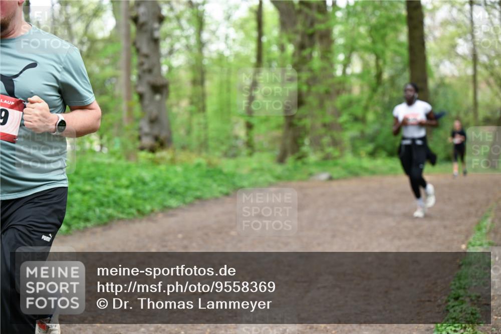 19.04.2026 - Hammer Lauf Dr. Thomas Lammeyer http://msf.ph/oto/9558369 19.04.2026 12:44:29 Laufen  meine-sportfotos.de