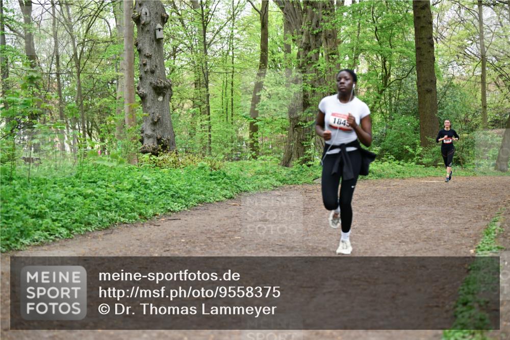19.04.2026 - Hammer Lauf Dr. Thomas Lammeyer http://msf.ph/oto/9558375 19.04.2026 12:44:30 Laufen 1845, 915 meine-sportfotos.de