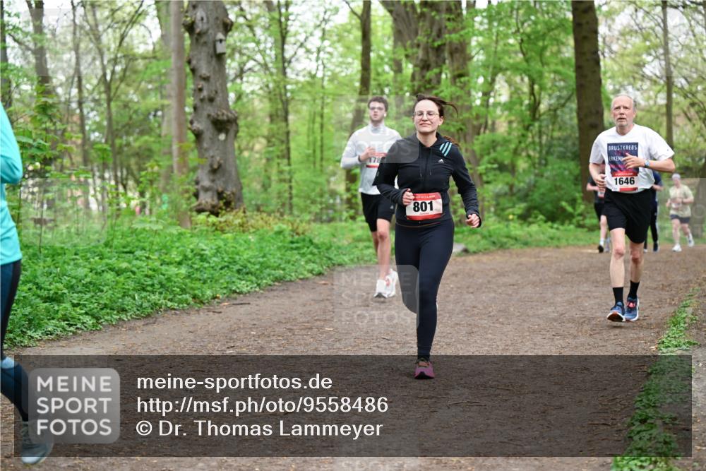 19.04.2026 - Hammer Lauf Dr. Thomas Lammeyer http://msf.ph/oto/9558486 19.04.2026 12:44:52 Laufen 178, 801, 1646 meine-sportfotos.de