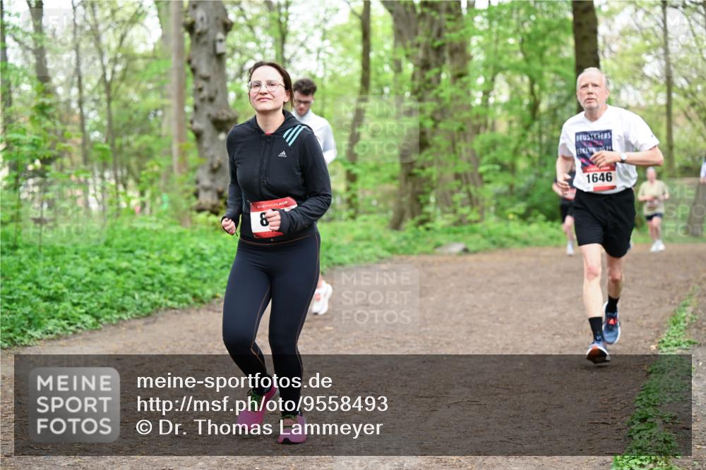 19.04.2026 - Hammer Lauf Dr. Thomas Lammeyer http://msf.ph/oto/9558493 19.04.2026 12:44:53 Laufen 1646 meine-sportfotos.de