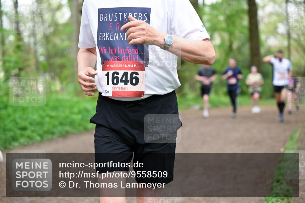 19.04.2026 - Hammer Lauf Dr. Thomas Lammeyer http://msf.ph/oto/9558509 19.04.2026 12:44:56 Laufen 1646, 320 meine-sportfotos.de