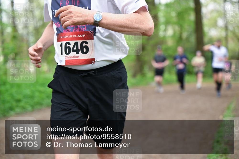 19.04.2026 - Hammer Lauf Dr. Thomas Lammeyer http://msf.ph/oto/9558510 19.04.2026 12:44:56 Laufen 1646, 320 meine-sportfotos.de