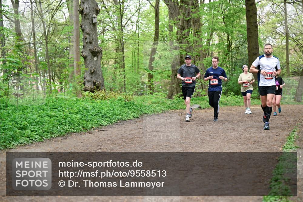 19.04.2026 - Hammer Lauf Dr. Thomas Lammeyer http://msf.ph/oto/9558513 19.04.2026 12:44:56 Laufen 608, 520, 607, 356 meine-sportfotos.de