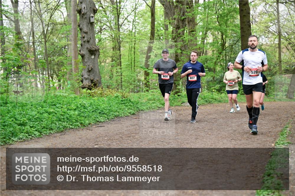 19.04.2026 - Hammer Lauf Dr. Thomas Lammeyer http://msf.ph/oto/9558518 19.04.2026 12:44:57 Laufen 608, 607, 356, 520 meine-sportfotos.de